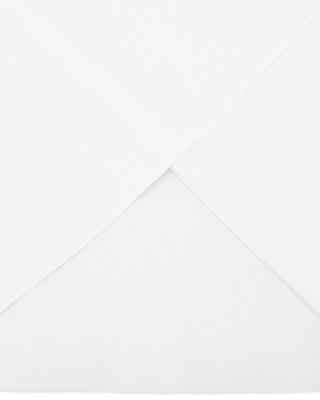 Open Collar Pearl Point Neck Knit (White)