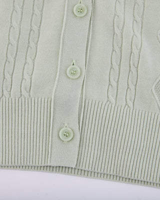 Double Color V Neck Cardigan (Green)